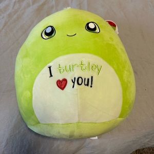 2022 Valentine’s Day turtle squishmallow